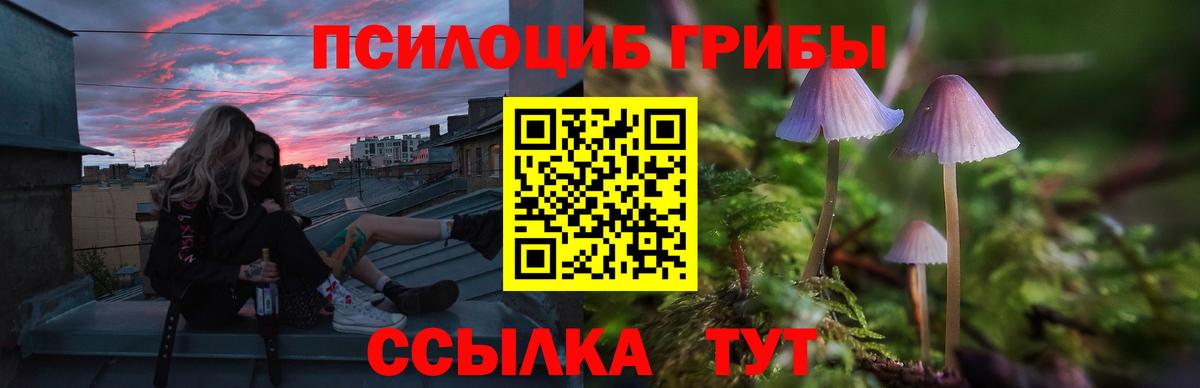 Псилоцибиновые грибы Psilocybe Миллерово
